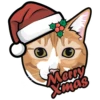 Merry
Xmas