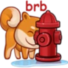 SHIBE 13