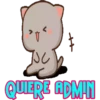 QUERE ADMIN