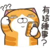 白爛貓30超愛演P.2/2 17
