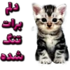 گوربه 5
