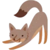 Facebook Foxes 29