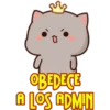 OBEDECE
A LOS ADMIN
&