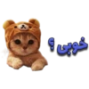 گوربه 6