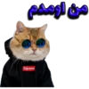 گوربه 7