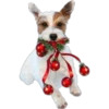Navidad Perruna  Clásica 15