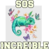 378134)NI
SOS