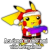 POKES NAVIDAD 5