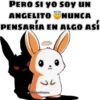 ANIMALS 11
