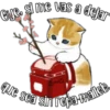 Gatitos para tu crush ฅ^ﻌ^ฅ 8