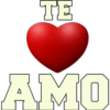 감염
AMO