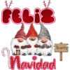 **
FELIS
ಆದರೆ
Ainarey
Navidad