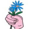 🌹Día de la Mujer🌹 16