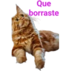 Cat-Dog 1 5