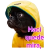 Cat-Dog 1 6