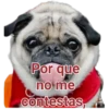 Cat-Dog 1 7