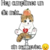 Gatitos para tu crush ฅ^ﻌ^ฅ 11