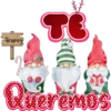 Ainarey
TC
1
ueremos