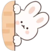 Lumyai (Little Rabbit) 17