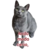 Cat-Dog 1 10