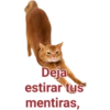 Cat-Dog 1 11