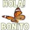 HOLA!
BONITO