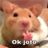 °•Perros, gatos y plus??5 18