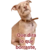 Cat-Dog 1 12