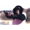 Monkey Sticker 9