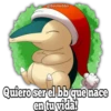 POKES NAVIDAD 13