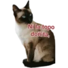 Cat-Dog 1 14