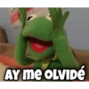 Rana René 15