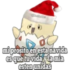POKES NAVIDAD 14
