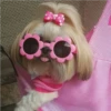 °•Perros, gatos y plus??5 23