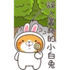 誤入叢林的小白兔
0
dg