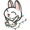 Christmas Green & Rabbit  (C) 24