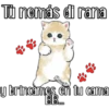 Gatitos para tu crush ฅ^ﻌ^ฅ 21