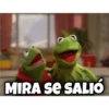 Rana René 16