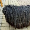 Perros Preciosos 27