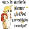 Gatitos para tu crush ฅ^ﻌ^ฅ 23