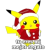 POKES NAVIDAD 21
