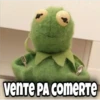Rana René 20