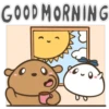 Bear and Friends ♡ Clásica 24