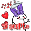 flork  parejita ᥫ᭡ 27