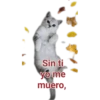 Cat-Dog 1 19