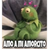 Rana René 24