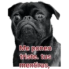 Cat-Dog 1 20