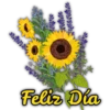 Feliz Dia