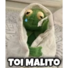 Rana René 25