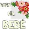 BUEN
DÍA
BEBÉ